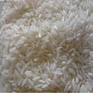 IR-8 Rice